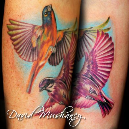 David Mushaney - Realistic Birds - Color